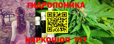 молекула духа Заводоуковск