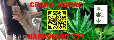 амф Бийск