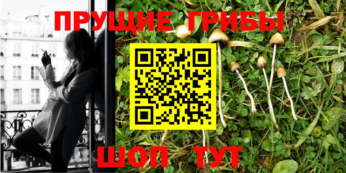 Псилоцибиновые грибы Cubensis Киров