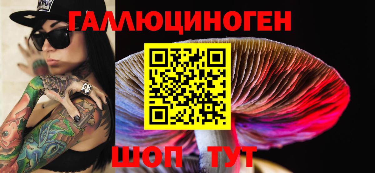 Киров  купить   Вход с VPN  Псилоцибиновые грибы мицелий 